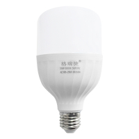 格瑞捷 LED灯泡 20W E27 白光 支