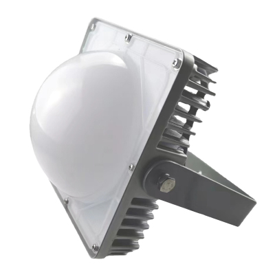 驰洛科 CLPT9192-100P 220V 100W IP65 平台灯 (计价单位:个) 银灰色