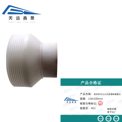 天远鑫景 变径补芯大小头直通转换接头 120*100mm 个