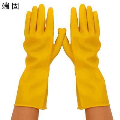 端固 乳胶手套KLJ 双