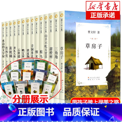[礼盒装]曹文轩儿童文学14册 [正版]曹文轩系列儿童文学全套14册任选草房子原著完整版青铜葵花曹文轩细米根鸟山羊不吃天