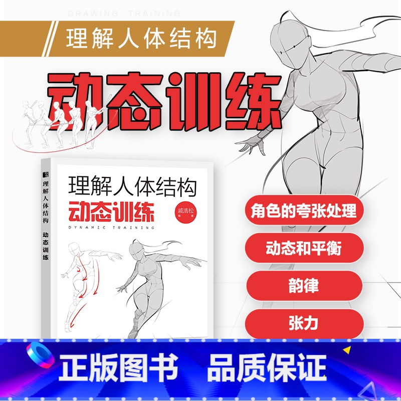 [正版]理解人体结构 动态训练 人体结构原理和绘画教学 造型手绘技法教程书理解人物绘画形态 画画入门自学零基础书动态解
