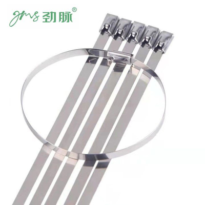 劲脉 不锈钢扎带 8*800mm 包