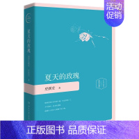 夏天的玫瑰 插图珍藏版 [正版]单本/套装任选史铁生作品全集我与地坛务虚笔记命若琴弦病隙碎笔向死而生自由的夜行阅读精选文