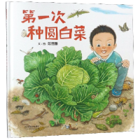 音像次种圆白菜(精)陈丽雅|绘画:陈丽雅