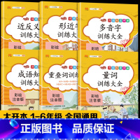 [6册]小学语文词语积累手册大全 小学通用 [正版]小学生词语积累大全训练重叠词量词多音字近义反义形近成语 小学一年级二