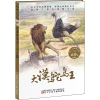 音像大漠鸵鸟王袁博