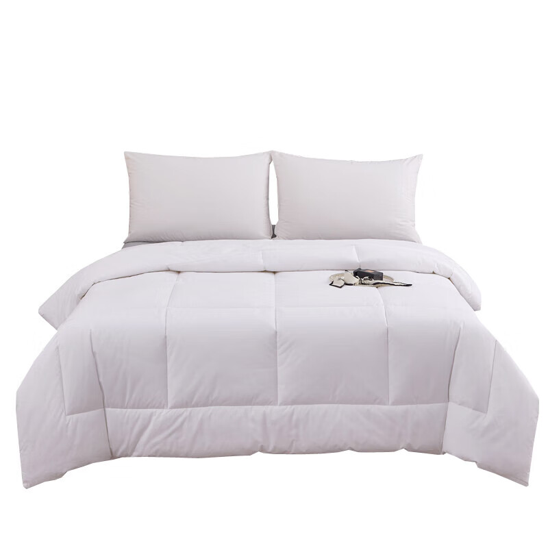 汉司家纺 HANSI-52 全棉防羽布 160*220cm 四季通用被芯 被子 1.00 件/条 (计价单位:条)白色