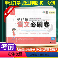 语文 小学升初中 [正版]新版全脑小升初语文必刷卷六年级语文考前压轴检测卷专项突破提优毕业升学真题押题卷初中生初一招生分