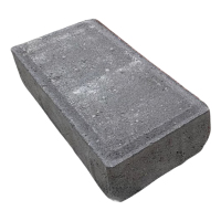 泽奋 透水砖 200*100*55mm 块