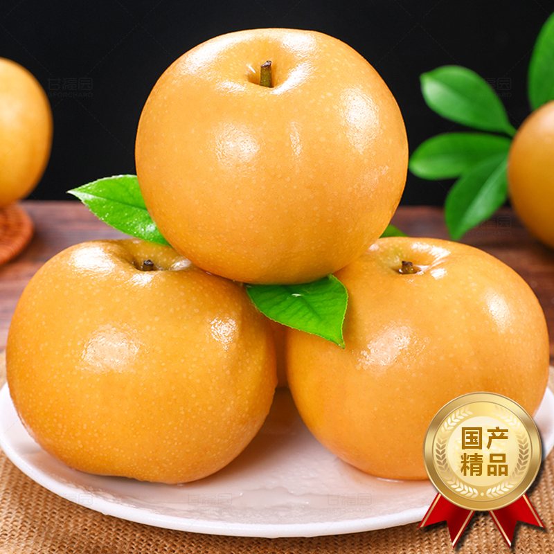 [苏鲜生]新鲜山东秋月梨 净重4.5斤 大果 4-6枚 当季水果 现摘现发 甜蜜多汁