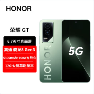 荣耀GT 极光绿 12GB+512GB 第三代骁龙8芯 电竞屏 5G AI 新款 游戏手机