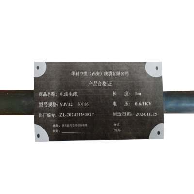 华科中缆 电线电缆 YJV22-5*16 米