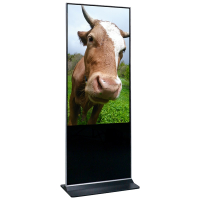 昌裕(CHANGYU) CYXY-GGG-AG47 47寸立式广告机