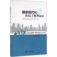 音像现代化与农民工权利演进操家齐 著