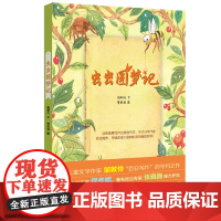 虫虫圆梦记 宁波出版社 施则行