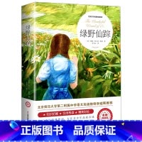 绿野仙踪 [正版]绿野仙踪原著小学生三年级四年级必读课外书籍青少年无障碍阅读朱月玲老师儿童文学获奖作品木偶奇遇记著名作家