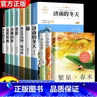 [全10册]六年级下册课外书+冰心文学三部曲 [正版]国一必读的课外书 小升初课外书必读书籍下册 适合小学六升国一初一看