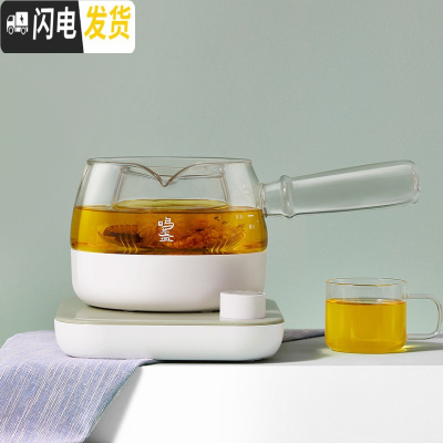 三维工匠鸣盏煮茶器花茶迷你养生壶办公室小型全自动家用煮茶壶玻璃壶茶具 [青瓷色]全自动煮茶器500cc