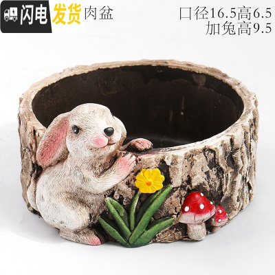 三维工匠大号特大号口径蘑菇房子小号可爱少女心延禧微景观多肉花盆器拼盘 大号兔子多肉盆 中等花盆容器