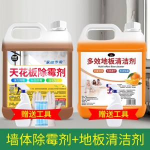 [补贴10%]除霉剂回南天墙壁发霉除霉剂去霉斑霉菌墙体墙面处理天花板神器家用玻璃