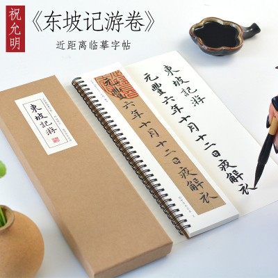 明祝允明小楷《东坡记游卷》祝枝山楷书精选入门毛笔书法临摹初学者全集成人字卡近距离临摹字帖