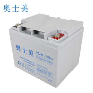 奥士美 阀控式铅酸蓄电池 AT12V-38 只