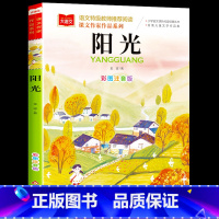 [单本]阳光(冬天卷) [正版]金波四季童话美文注音版全套4册 雨点儿 阳光 树和喜鹊 沙滩上的童话 一年级阅读课外书必