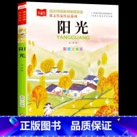 [单本]阳光(冬天卷) [正版]金波四季童话美文注音版全套4册 雨点儿 阳光 树和喜鹊 沙滩上的童话 一年级阅读课外书必