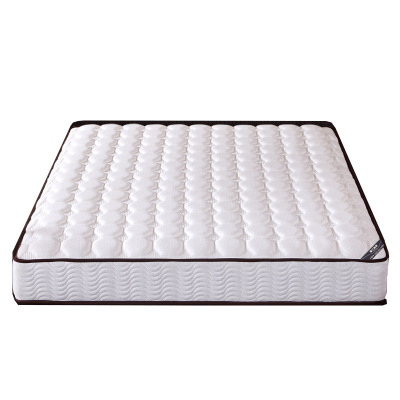 臻远 席梦思弹簧床垫 1200*2000*250 白色 针织面料+乳胶+独立弹簧+3E棕