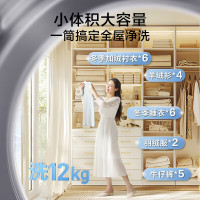小天鹅TG120V098WDT
