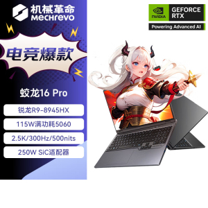 机械革命(MECHREVO)蛟龙16Pro 2025款 16英寸旗舰游戏本 强芯学生设计笔记本电脑 定制 锐龙版R9-8945HX RTX5060 64G 2T 2.5K 灰