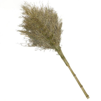 欣一铮科 欣一铮科 竹把扫帚 大号 把 大号 把(大号)