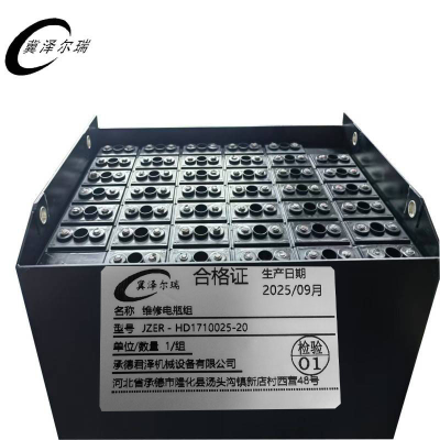 冀泽尔瑞 维修电瓶组 JZER - HD1710025-20 组