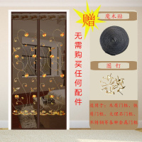 夏季网纱窗防蚊帘卧室家用魔术贴隔断磁性磁铁对吸自吸防蝇 咖啡玫瑰刺绣(魔术贴) 160*220cm