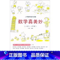 数学真美妙[小学3-4年级] 小学通用 [正版]小学数学课外读物数学真美妙3-4年级数学课外书培养少儿数学思维与兴趣的经