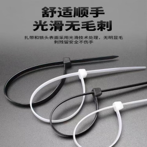 厚玖 尼龙扎带自锁式捆绑束线带4*200 国标黑色4*200 宽3.6mm 500条(单位:包)