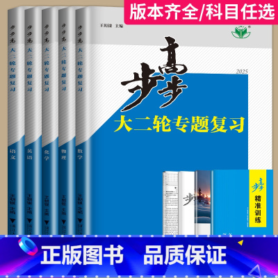 数学 专题突破 宁夏回族自治区 [正版]2025新版步步高大二轮专题复习物理数学化学地理生物政治历史英语语文资料高考二轮