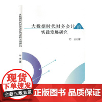 大数据时代财务会计的实践发展研究