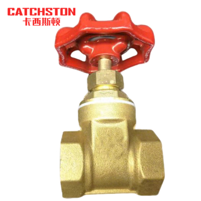 卡西斯顿 黄铜闸阀 DN100 4寸 个