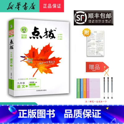 语文 九年级下 [正版] 2025春 新版 荣德基 点拨 语文 九年级下册 人教版