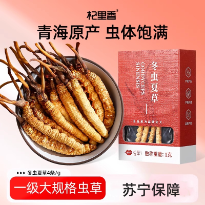 庄民 冬虫夏草 龙凤礼盒装 冻干高洁净 高品质精选 4条/g 优级 层层筛选饱满无断草送老人领导滋补品1克