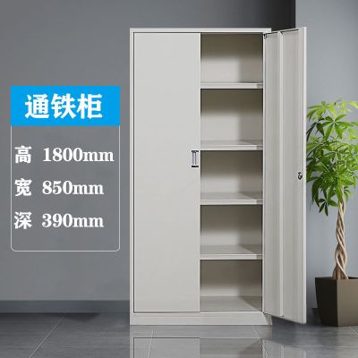 铁皮柜办公文件柜资料柜档案柜铁皮更衣柜卷柜矮柜带锁储物柜家 