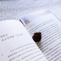 见识世界:全球化时代美国大学的跨学科研究