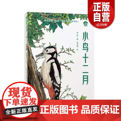 [正版]小鸟十二月(魔法象·故事森林·小书房)每月邂逅一种鸟 领略大自然的奇妙 广西师范大学出版社