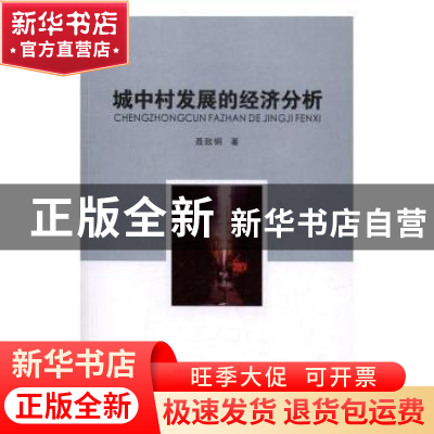 正版 城中村发展的经济分析 聂致钢著 南京大学出版社 9787305180