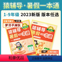 [幼升小]小学入学准备全国通用 小学通用 [正版]2023新暑假一本通小学初中语文数学英语 一二三四五六七八九年级衔接暑