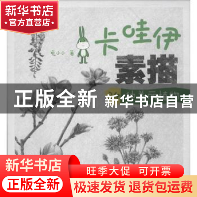 正版 卡哇伊素描:24种美丽植物 兔小小著 辽宁科学技术出版社 978