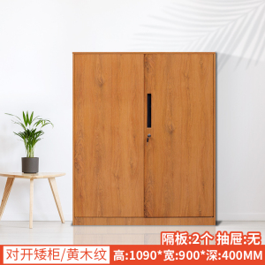 DXBG办公室文件柜资料档案铁皮柜子储物带锁财务铁柜书柜阳台矮柜