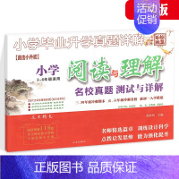 小学语文 阅读与理解 真题详解 小学通用 [正版]三四五年级小升初数学语文真题分类卷新版百校联盟小升初名校招生入学分班真